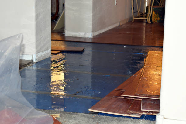Professional Basement Flood Cleanup technician working in Wana, WV